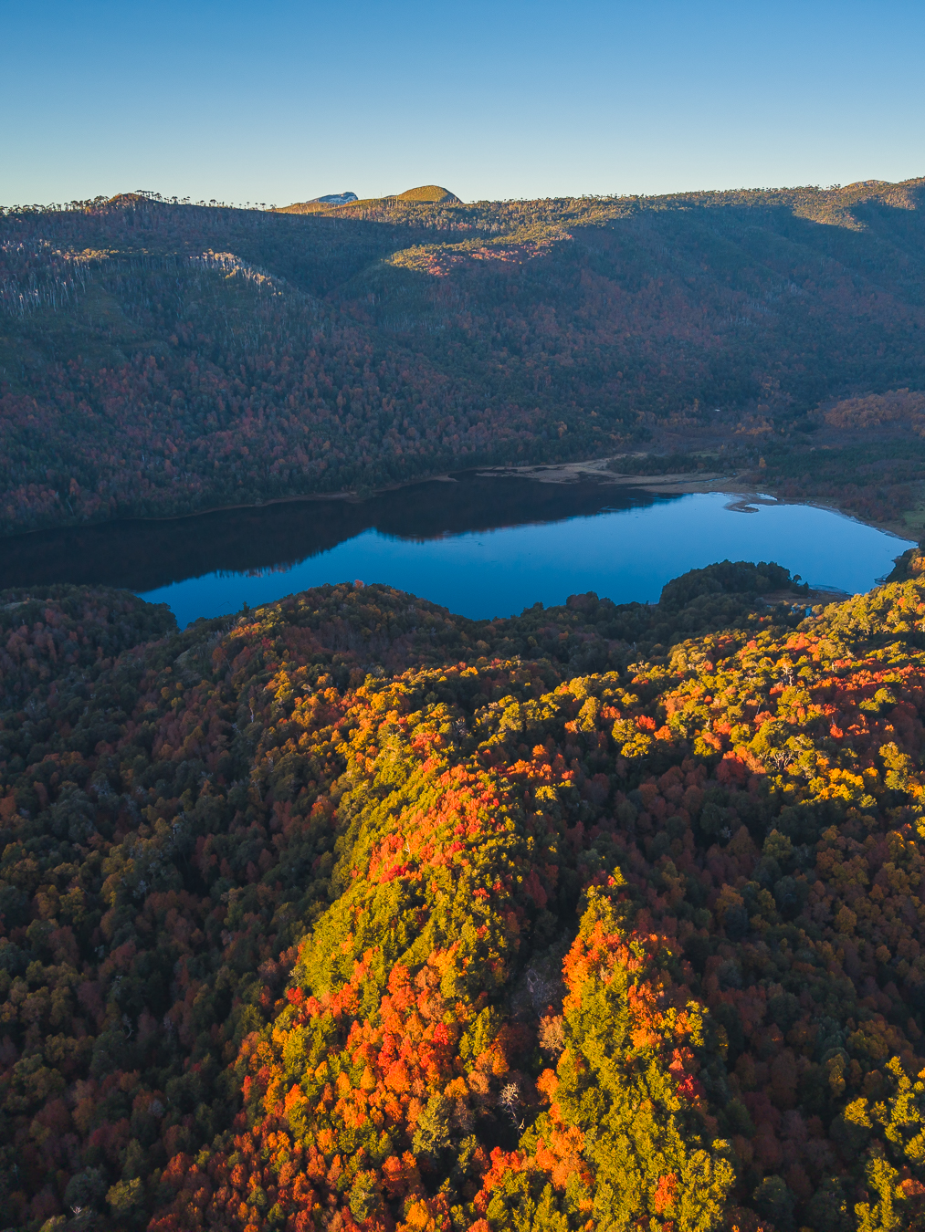 Vista aerea de laguna y bosque en Tolhuaca